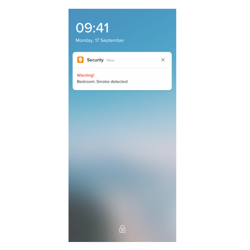 Повідомлення від Legrand Netatmo 