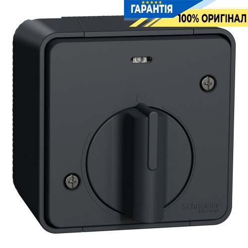 Вимикач із таймером IP55, зовнішній монтаж, чорний, Schneider Electric Mureva Styl MUR35067 | ELECTRICA.NET.UA