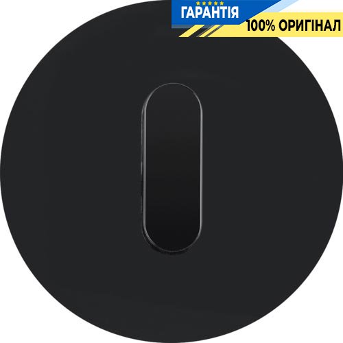Центральна панель вимикача з ручкою, скло/чорний, R.Classic, Berker 10012055