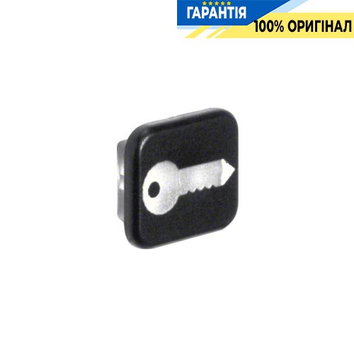 Лінза з символом «Ключ», комплект 10шт., Berker W.1 18223503