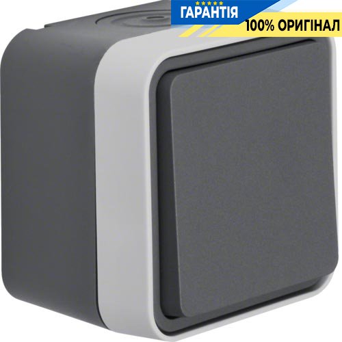 Перемикач IP55, сірий, 10АX/250В Berker W.1 30763505
