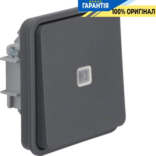 Вставка переключателя контрольного с подсветкой, серый, 10АX/250В W.1 Berker 30863515