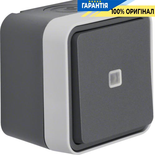 Переключатель контрольный с подсветкой IP55, серый, 10АX/250В W.1 Berker 31763505