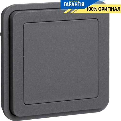 Вставка заглушки, серый, W.1 Berker 42903505