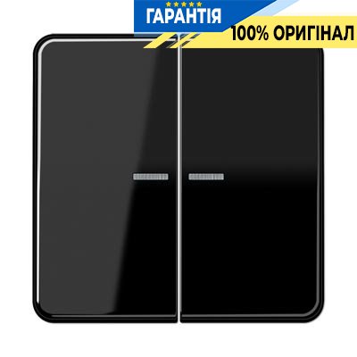 Клавиша 2-я с подсветкой Jung CD595KO5SW черный
