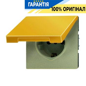 Розетка з з/к з кришкою Jung GO1520KL імітація золота