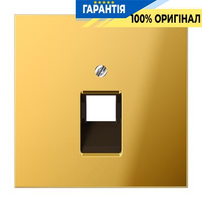 Панель розетки TF/PC 1-я  Jung GO2969-1UA имитация золота
