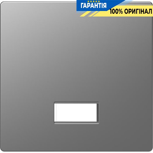 Клавиша с полем для символа D-Life «Нержавеющая сталь» Merten MTN3350-6036
