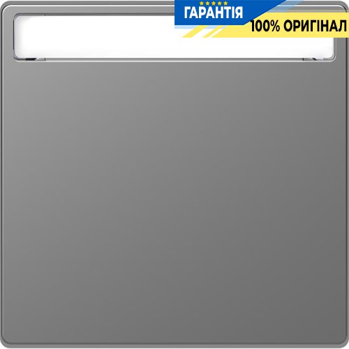 Клавіша 1-а з полем для напису D-Life «Нержавіюча сталь» Merten MTN3360-6036