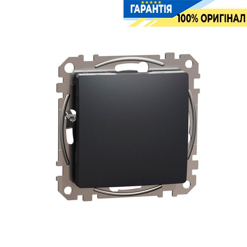 Заглушка Schneider Electric "Sedna Design" SDD114904, колір - чорний